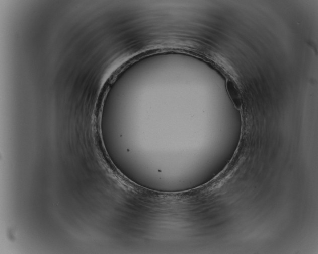 X0000094920928200711291019