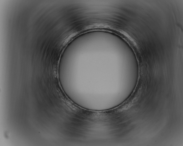 X0000094920929200711291019