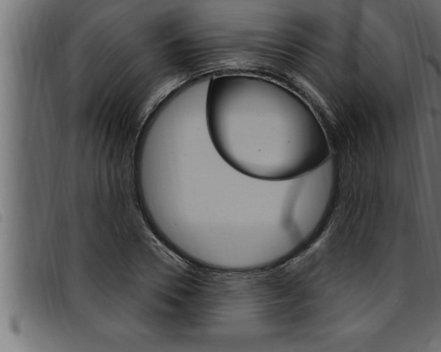 X0000094920930200711291019