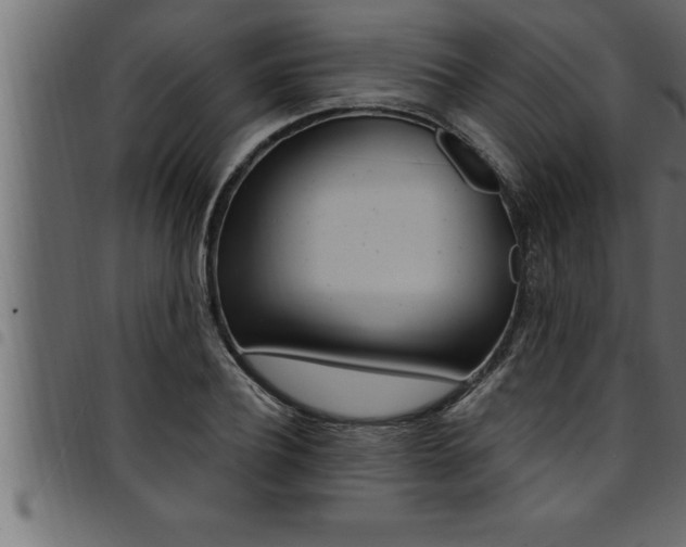X0000094920932200711291019