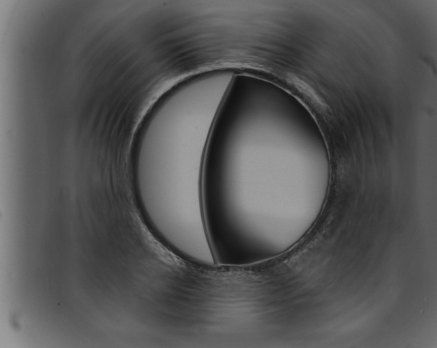 X0000094920934200711291019