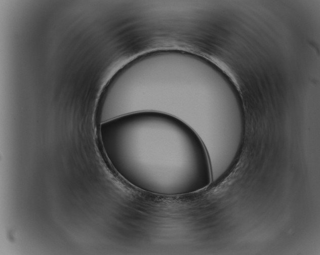 X0000094920935200711291019