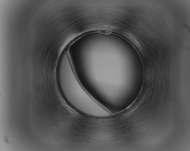 X0000094920936200711291019
