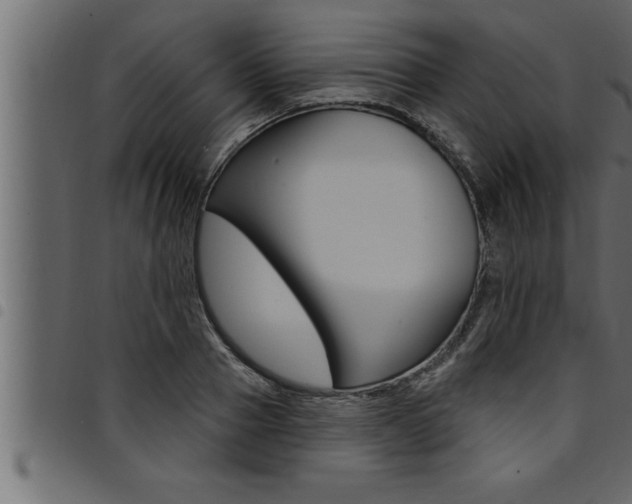 X0000094920937200711291019
