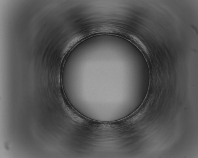 X0000094920938200711291019