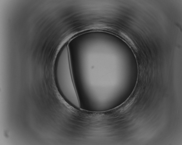 X0000094920939200711291019