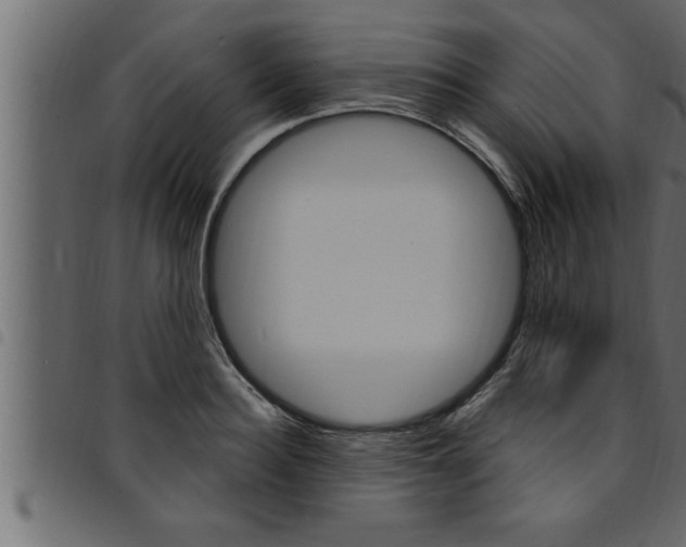 X0000094920940200711291019