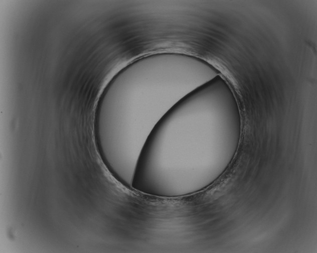 X0000094920941200711291019