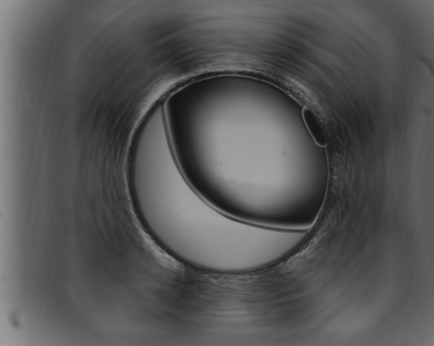 X0000094920942200711291019