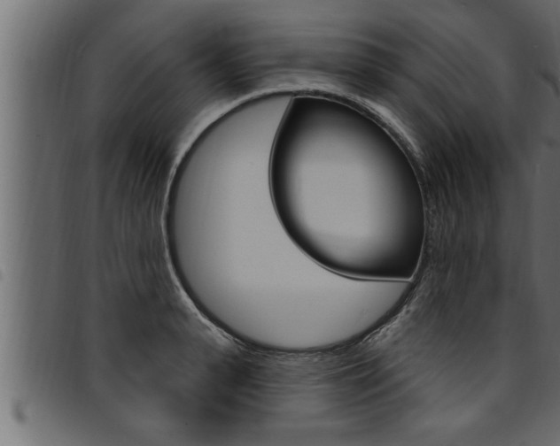 X0000094920943200711291019