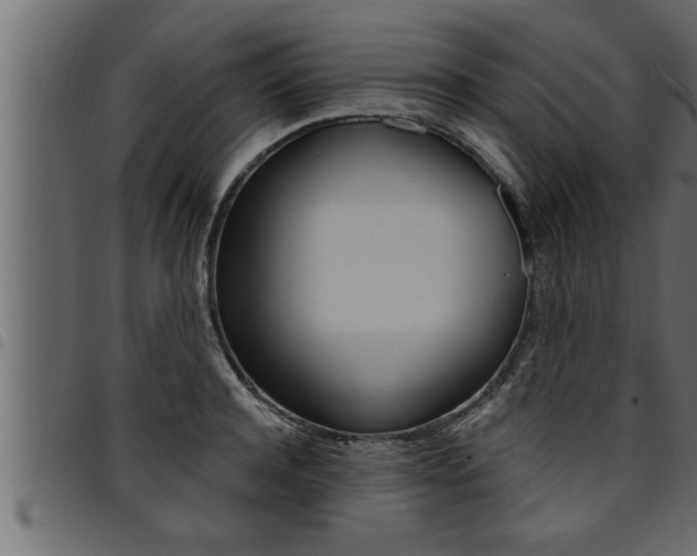 X0000094920944200711291019
