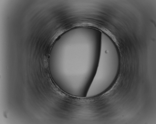 X0000094920945200711291019