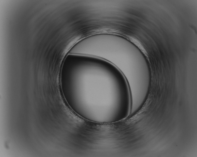 X0000094920946200711291019