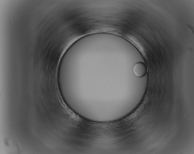 X0000094920948200711291019