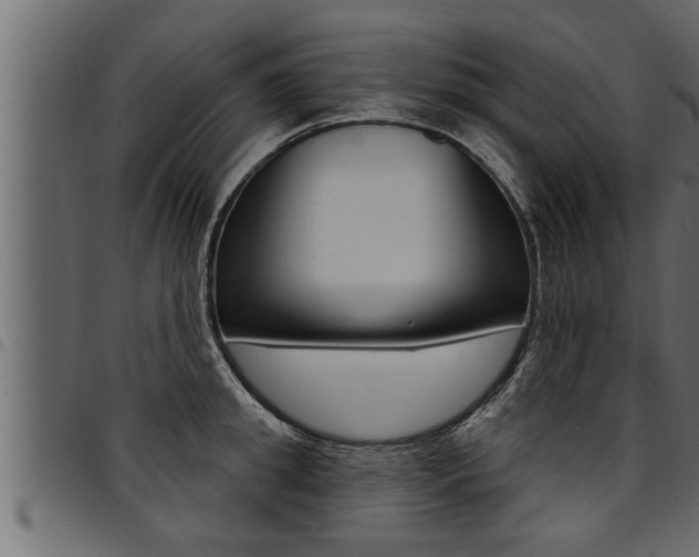 X0000094920949200711291019
