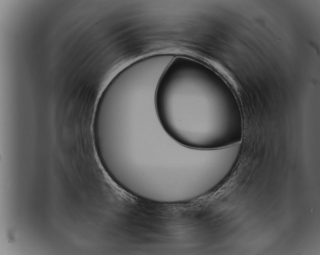 X0000094920951200711291019