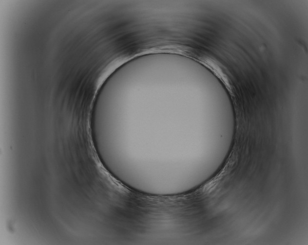 X0000094920952200711291019