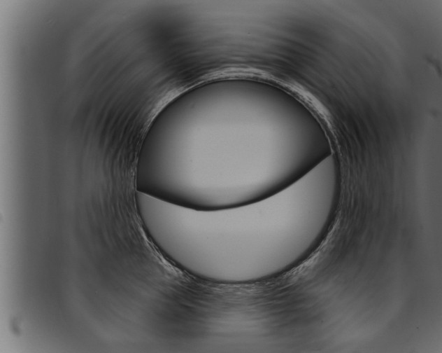 X0000094920953200711291019