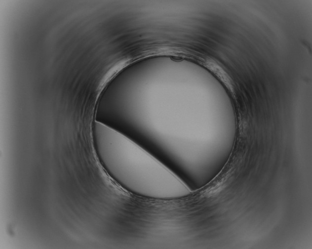 X0000094920954200711291019