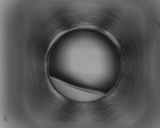 X0000094920955200711291019