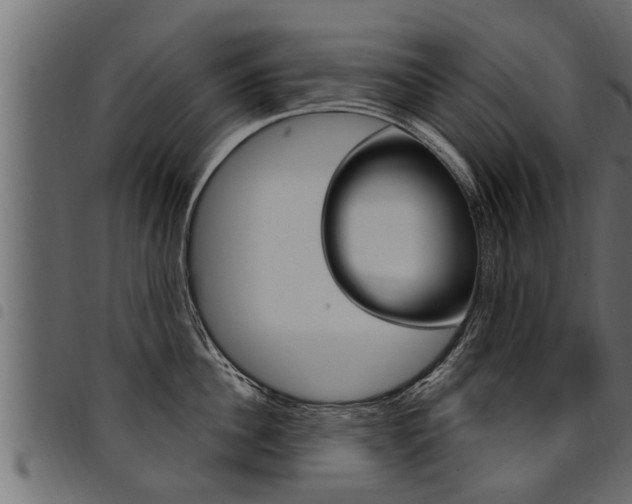 X0000094920956200711291019