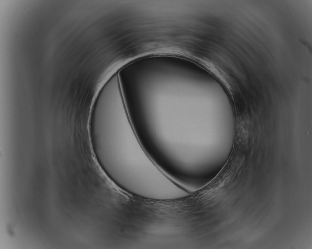 X0000094920959200711291019