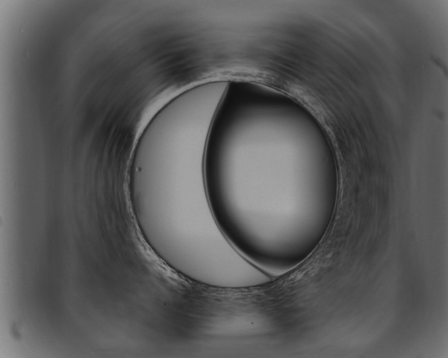 X0000094920960200711291019