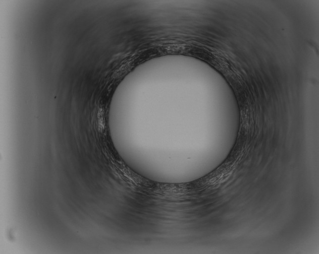 X0000094920962200711291019
