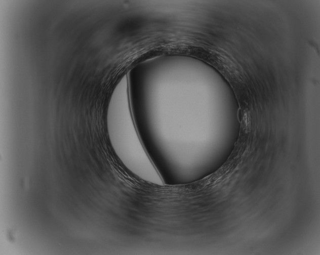 X0000094920963200711291019