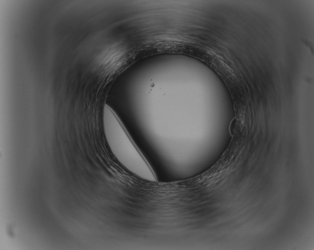 X0000094920964200711291019