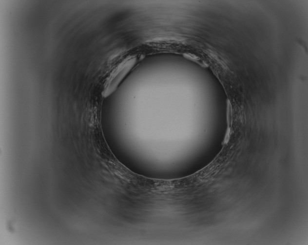 X0000094920965200711291019