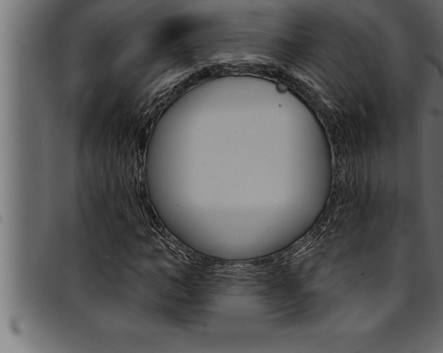 X0000094920966200711291019