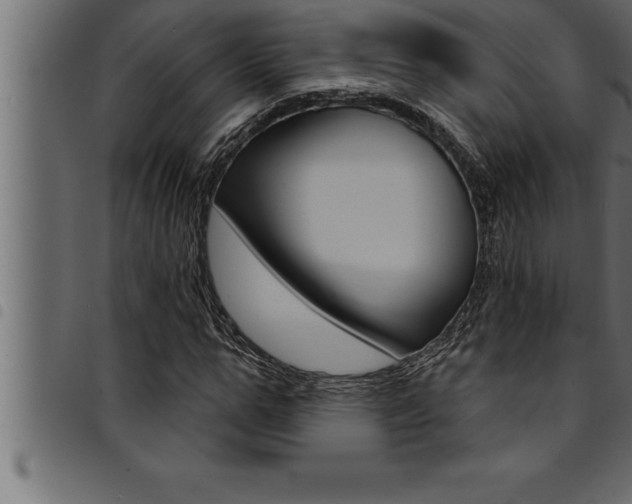 X0000094920967200711291019