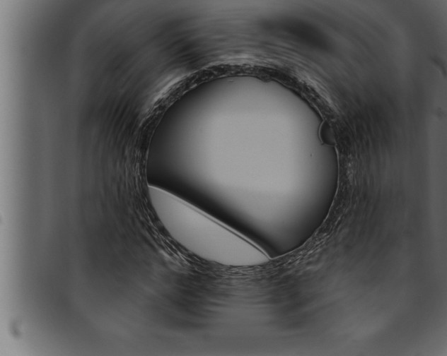 X0000094920968200711291019
