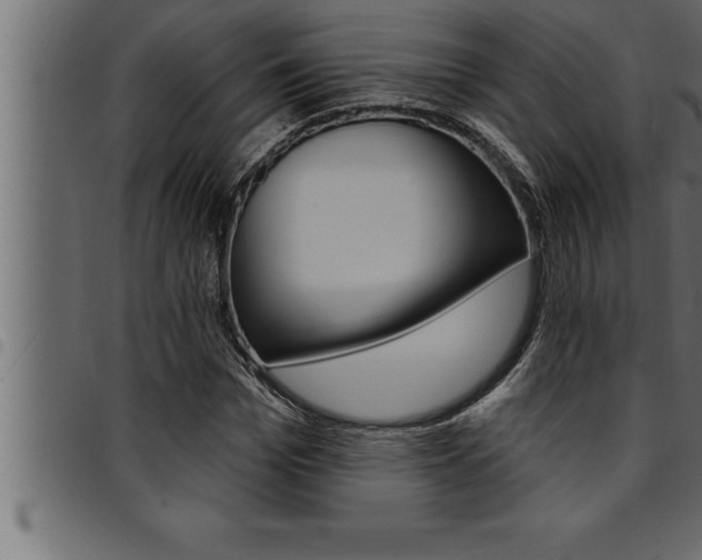 X0000094920969200711291019