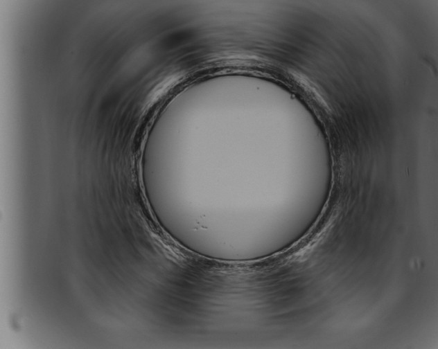 X0000094920970200711291019
