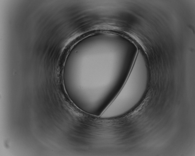 X0000094920971200711291018