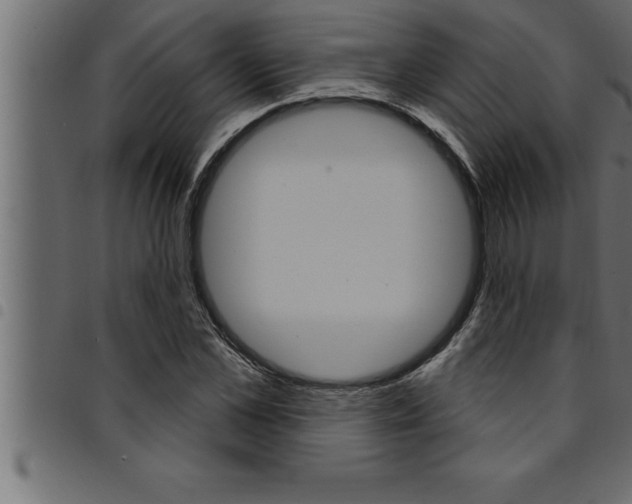 X0000094920973200711291018