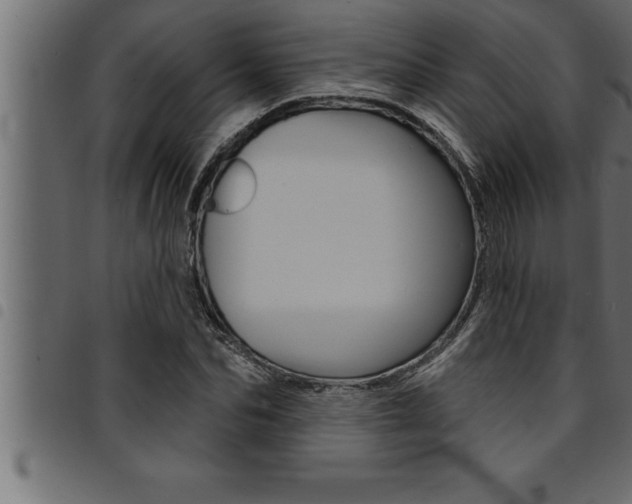 X0000094920974200711291018
