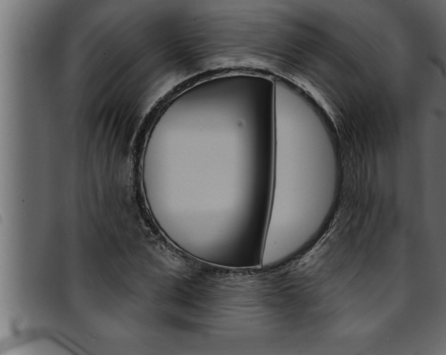 X0000094920975200711291018