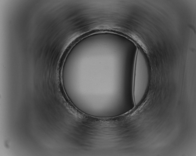 X0000094920976200711291018