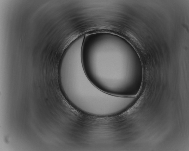 X0000094920977200711291018