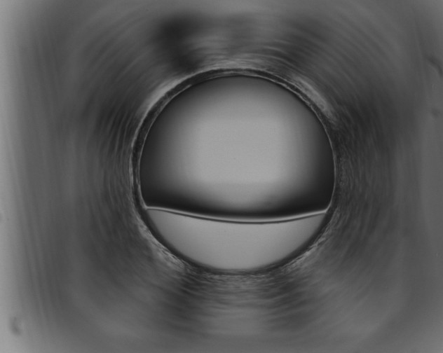 X0000094920980200711291018