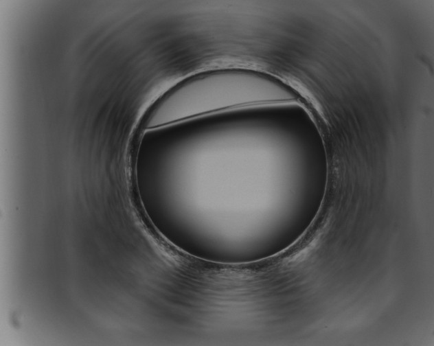 X0000094920981200711291018
