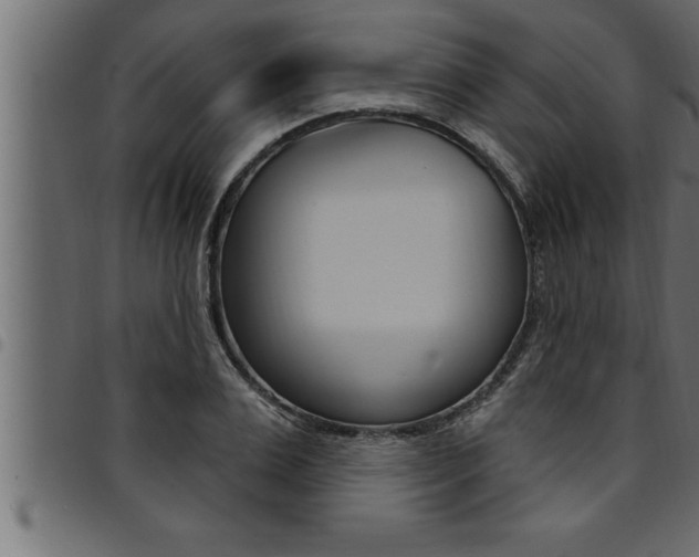 X0000094920983200711291018