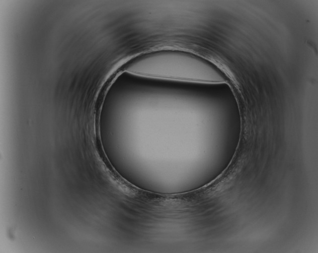 X0000094920984200711291018