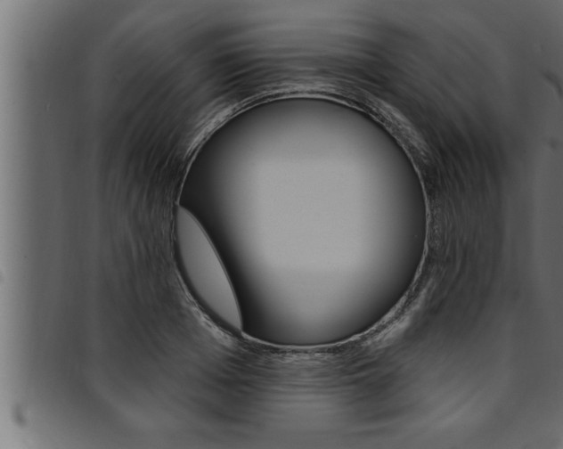 X0000094920985200711291018