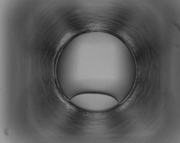 X0000094920986200711291018