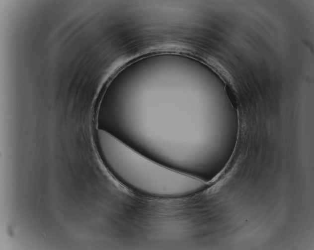 X0000094920989200711291018