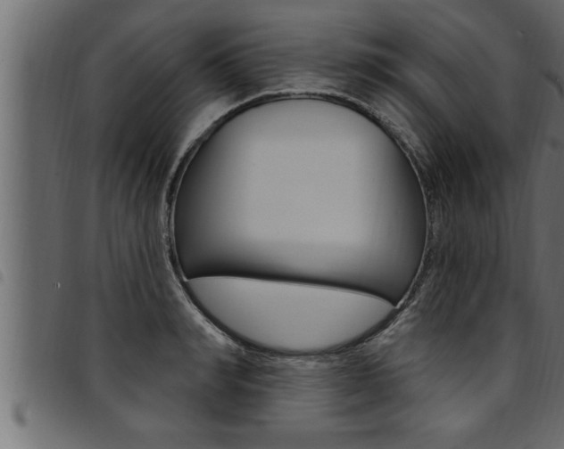 X0000094920990200711291018